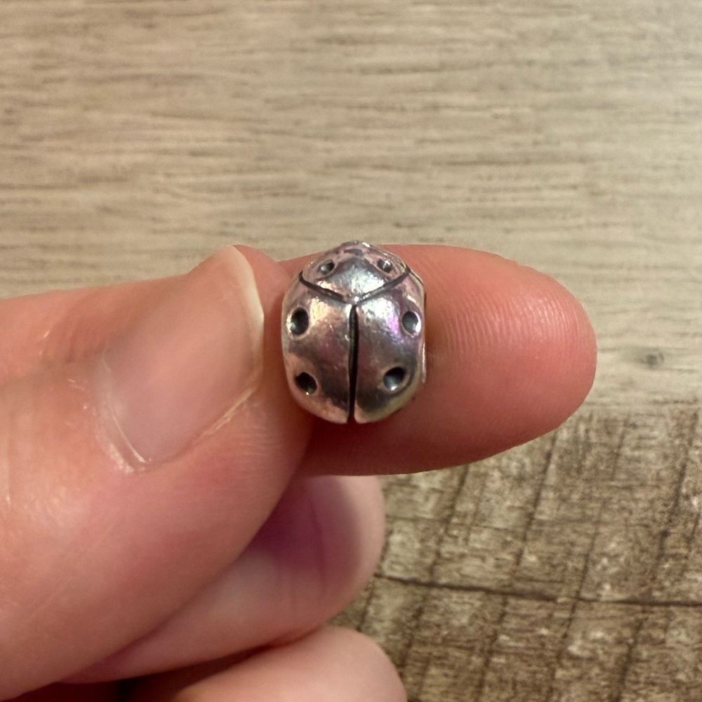 Pandora Silver Ladybug Charm
